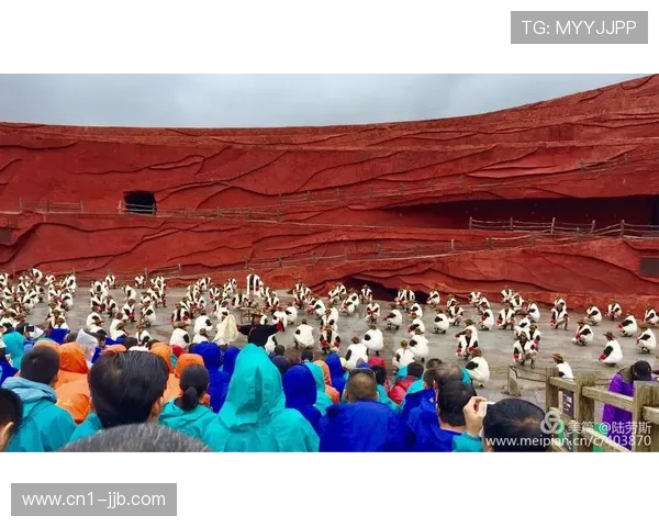 丽江主场雪山背景下观赛，民族特色演出暖场
